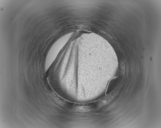 X0000065250657200603131129