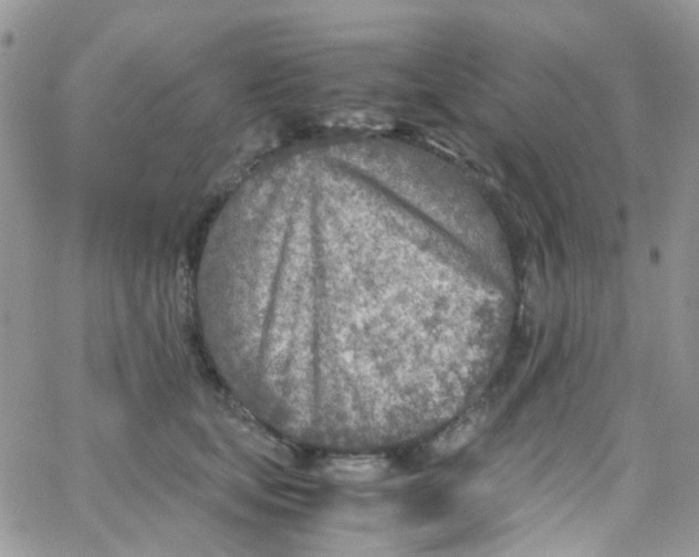 X0000065250659200603131129