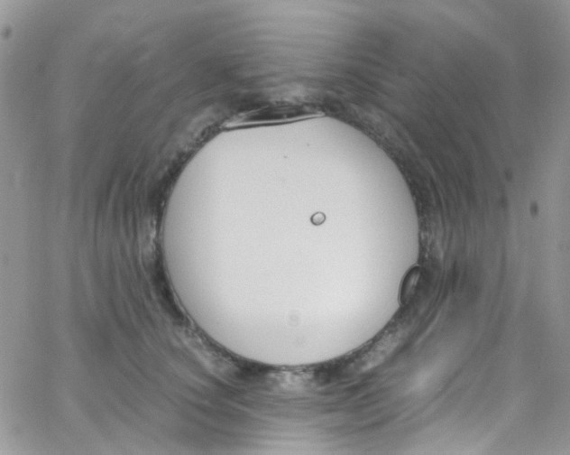 X0000065250660200603131129