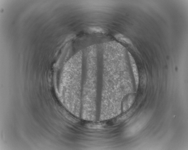 X0000065250661200603131129