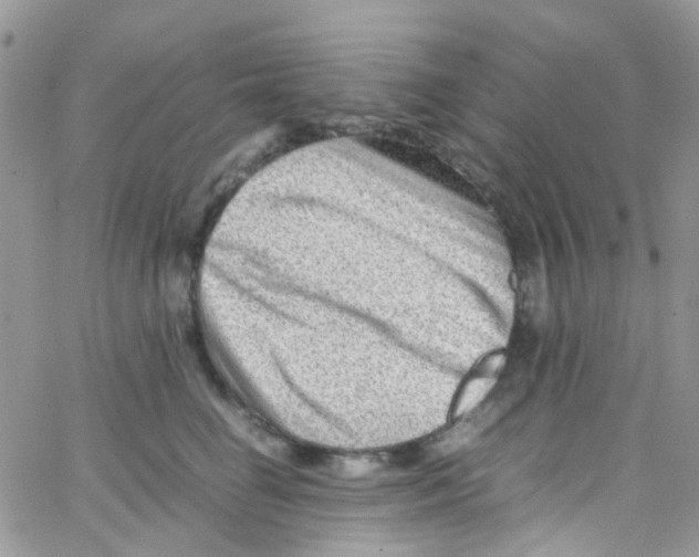 X0000065250662200603131129