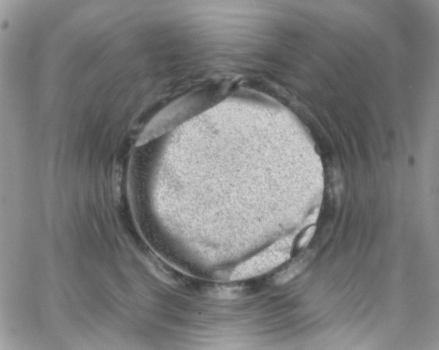 X0000065250664200603131129