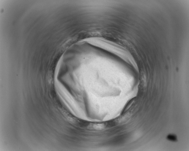 X0000065250665200603131129