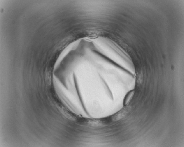 X0000065250666200603131129