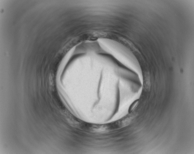 X0000065250667200603131129