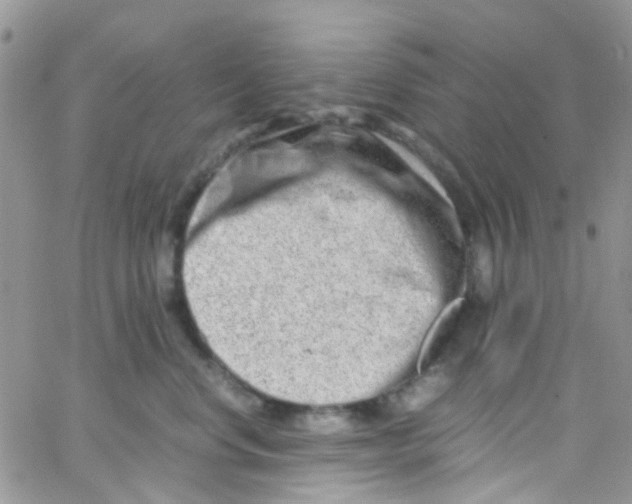 X0000065250668200603131129