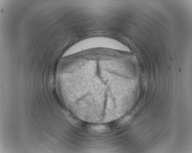 X0000065250669200603131129