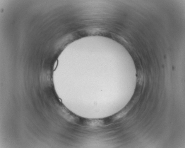 X0000065250670200603131129