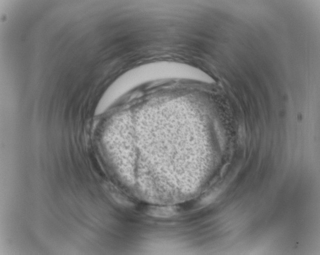 X0000065250671200603131129