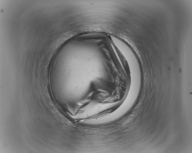 X0000065250673200603131129