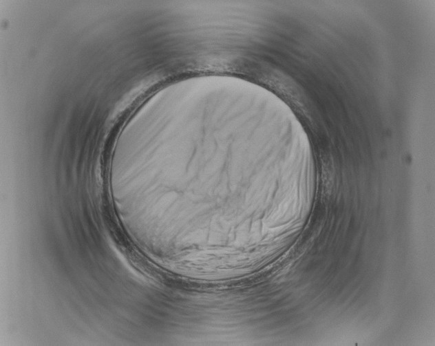 X0000065250674200603131129