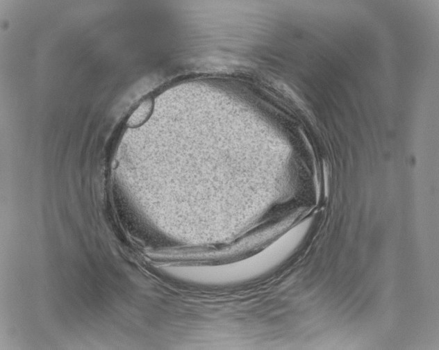 X0000065250675200603131128