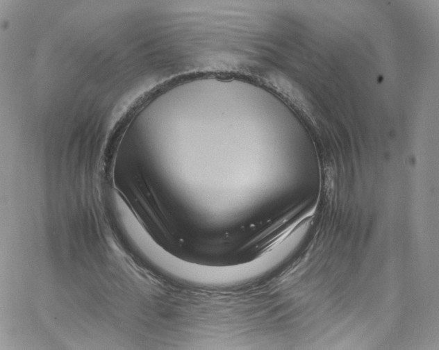 X0000065250676200603131128