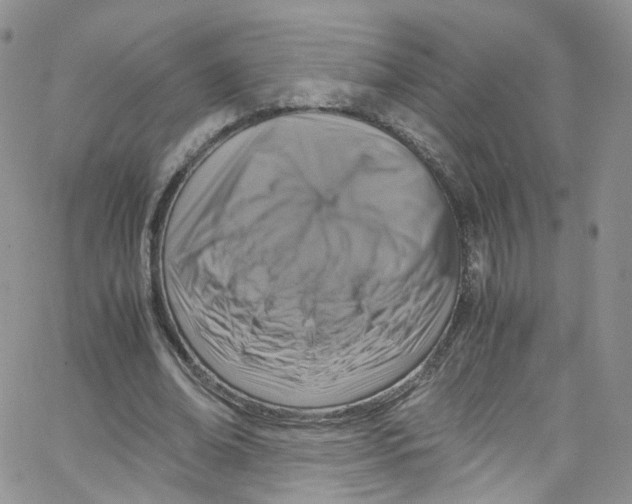 X0000065250678200603131128