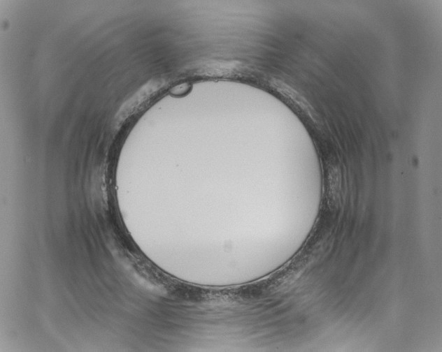 X0000065250682200603131128