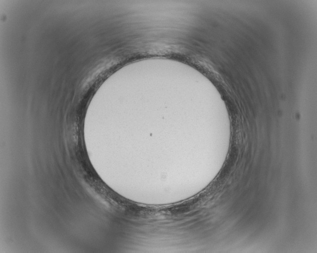 X0000065250683200603131128