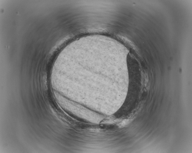 X0000065250684200603131128