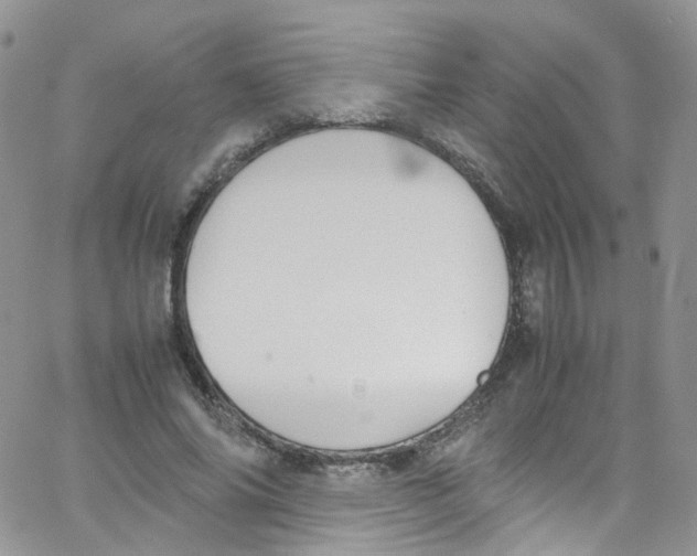 X0000065250686200603131128