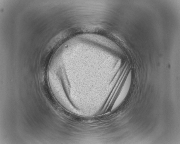 X0000065250687200603131128