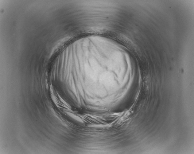 X0000065250688200603131128