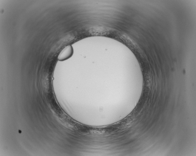 X0000065250690200603131128