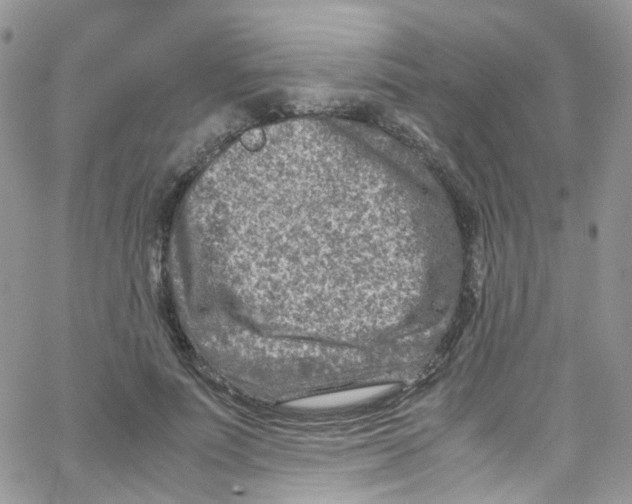 X0000065250691200603131128