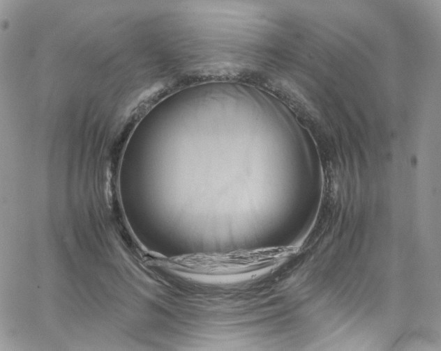 X0000065250692200603131128