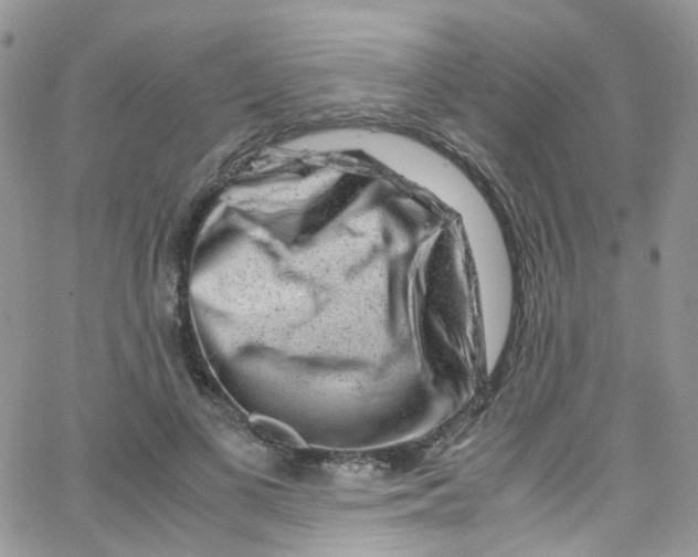 X0000065250693200603131128