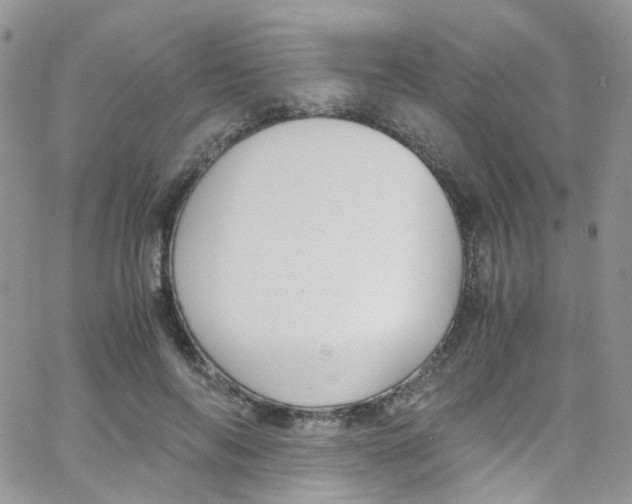 X0000065250694200603131128