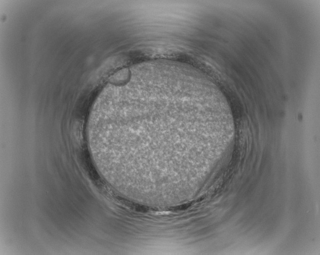 X0000065250695200603131128