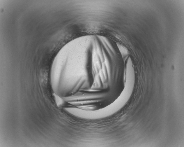 X0000065250697200603131128