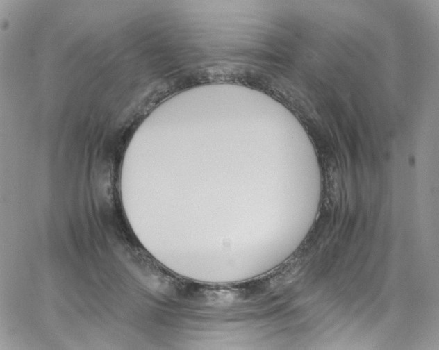 X0000065250698200603131128