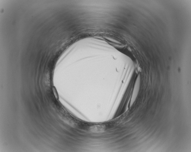 X0000065250700200603131128