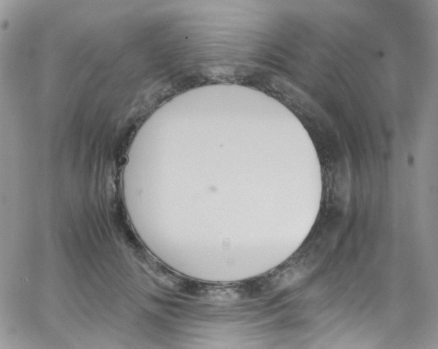 X0000065250702200603131128