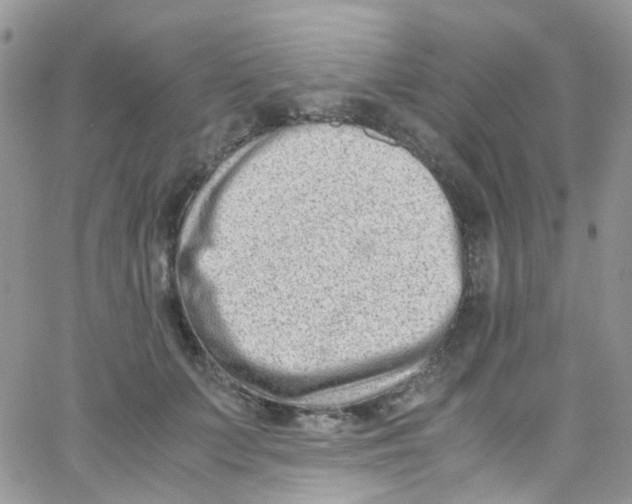 X0000065250703200603131128