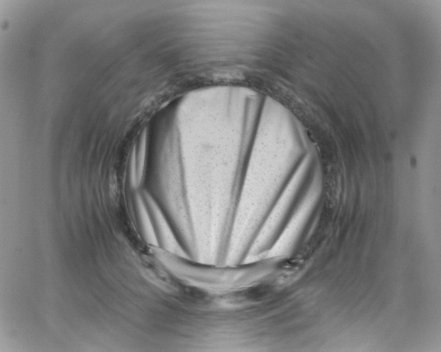 X0000065250704200603131128