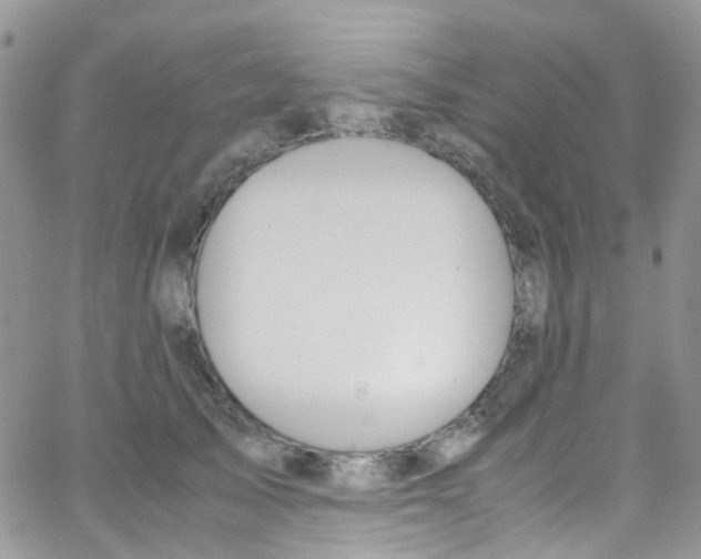 X0000065250705200603131128