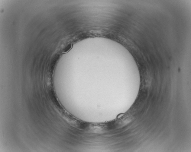 X0000065250706200603131128