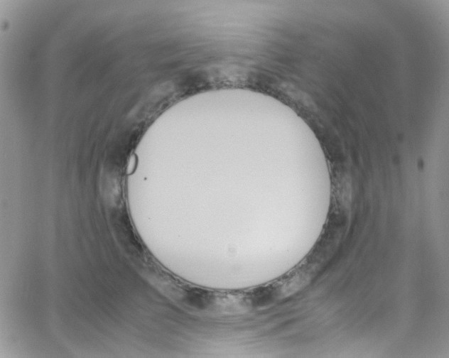 X0000065250709200603131128