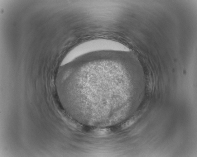 X0000065250711200603131128