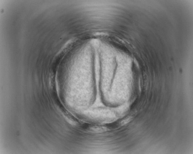 X0000065250712200603131128