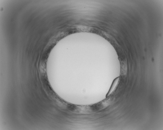 X0000065250713200603131128