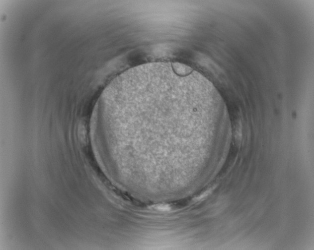 X0000065250715200603131128