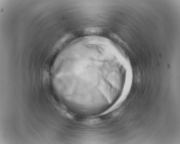 X0000065250716200603131128