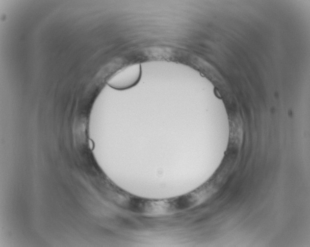 X0000065250717200603131128