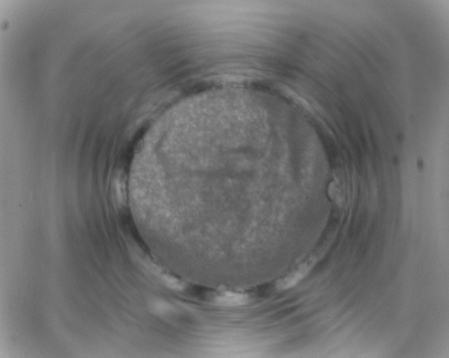 X0000065250718200603131128