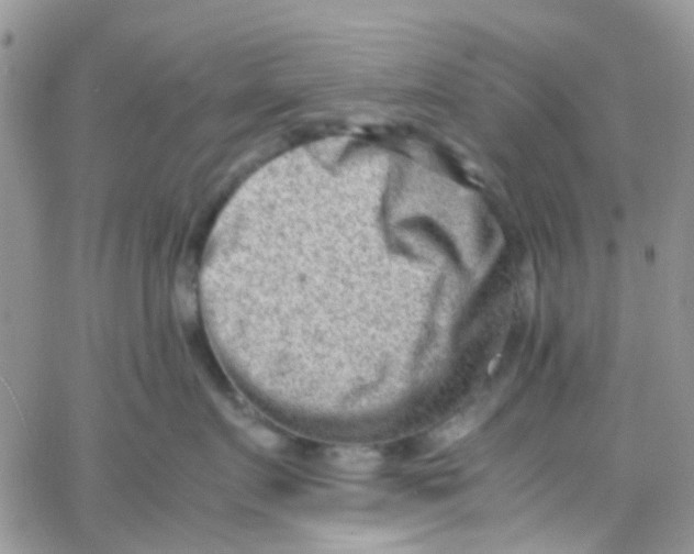 X0000065250719200603131128