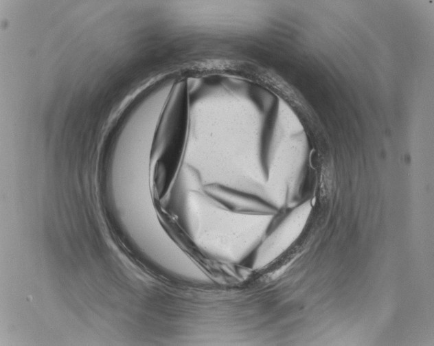 X0000065250722200603131127