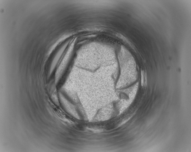 X0000065250723200603131127