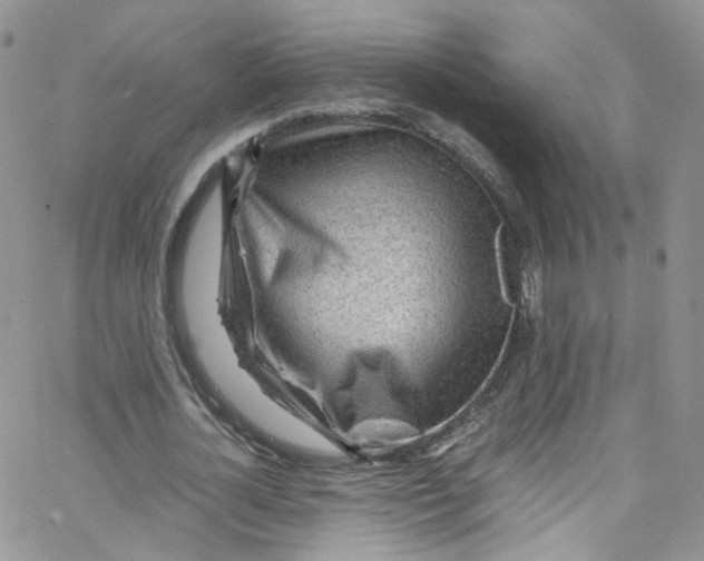 X0000065250724200603131127